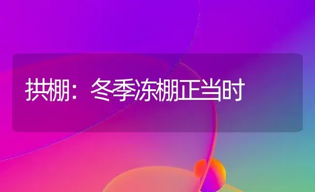 拱棚：冬季冻棚正当时 | 养殖知识