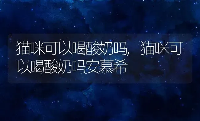 猫咪可以喝酸奶吗,猫咪可以喝酸奶吗安慕希 | 养殖科普