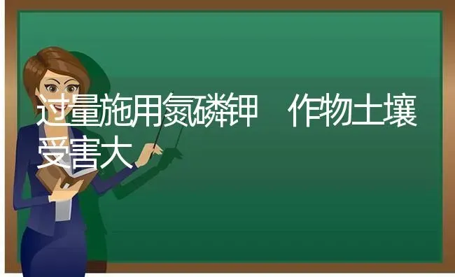 过量施用氮磷钾 作物土壤受害大 | 养殖技术大全