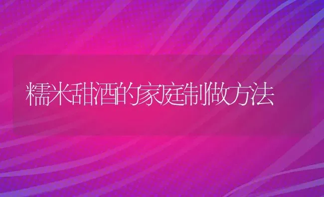 糯米甜酒的家庭制做方法 | 养殖知识