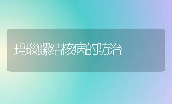 玛瑙螺结核病的防治 | 养殖技术大全