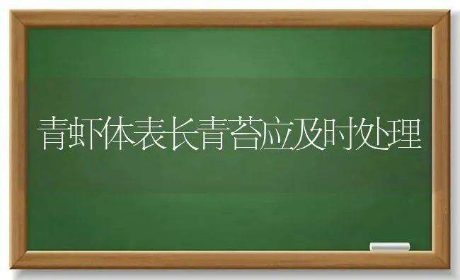 青虾体表长青苔应及时处理 | 养殖知识