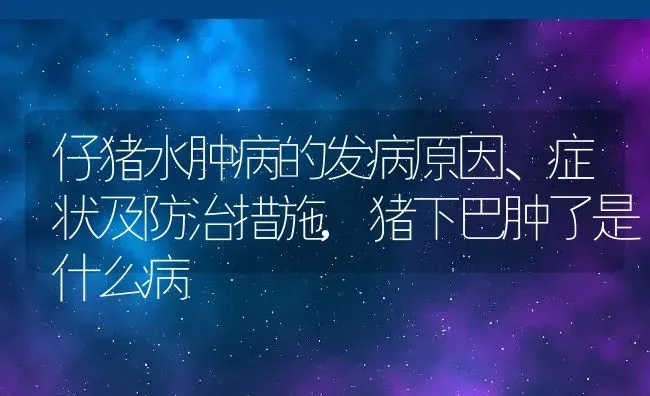 仔猪水肿病的发病原因、症状及防治措施,猪下巴肿了是什么病 | 养殖学堂