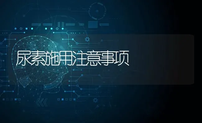 尿素施用注意事项 | 养殖技术大全