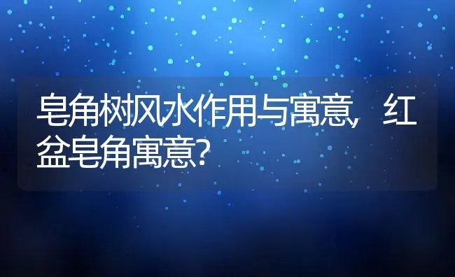 皂角树风水作用与寓意,红盆皂角寓意？ | 养殖科普