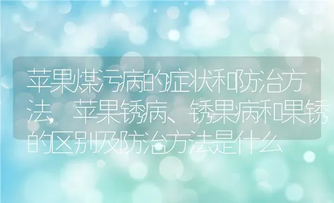 苹果煤污病的症状和防治方法,苹果锈病、锈果病和果锈的区别及防治方法是什么 | 养殖学堂