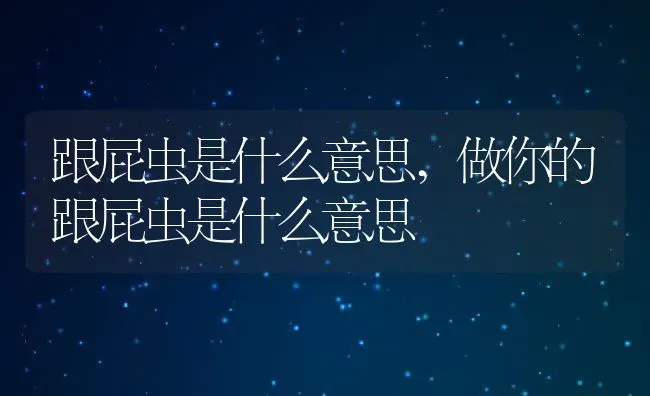 跟屁虫是什么意思,做你的跟屁虫是什么意思 | 养殖科普