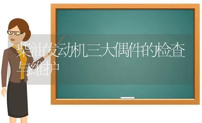 柴油发动机三大偶件的检查与维护 | 养殖技术大全