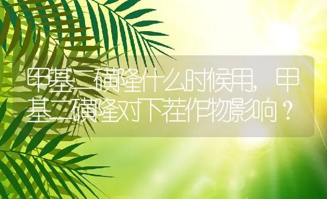 甲基二磺隆什么时候用,甲基二磺隆对下茬作物影响？ | 养殖科普