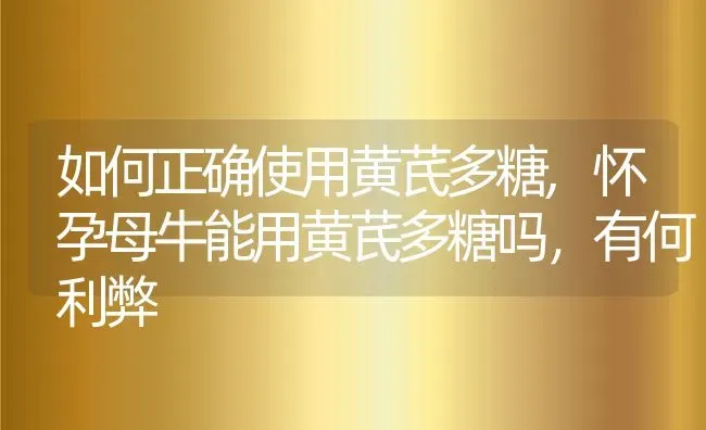 如何正确使用黄芪多糖,怀孕母牛能用黄芪多糖吗，有何利弊 | 养殖学堂
