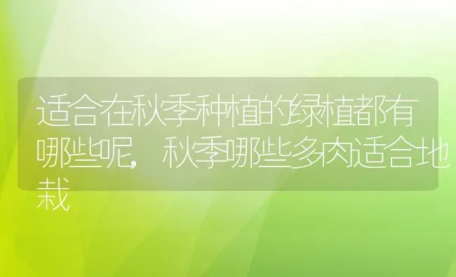 适合在秋季种植的绿植都有哪些呢,秋季哪些多肉适合地栽 | 养殖学堂