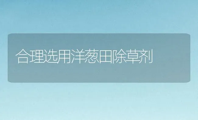 合理选用洋葱田除草剂 | 养殖知识