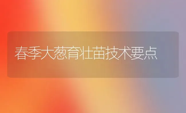 春季大葱育壮苗技术要点 | 养殖技术大全