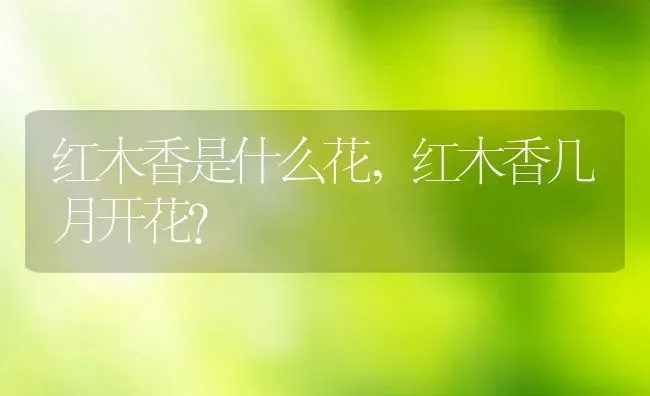 红木香是什么花,红木香几月开花？ | 养殖科普