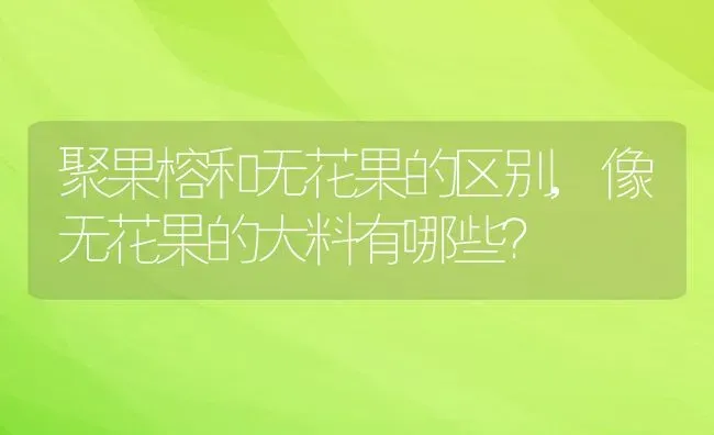 聚果榕和无花果的区别,像无花果的大料有哪些？ | 养殖科普