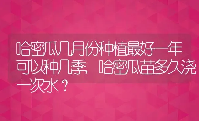 哈密瓜几月份种植最好一年可以种几季,哈密瓜苗多久浇一次水？ | 养殖科普