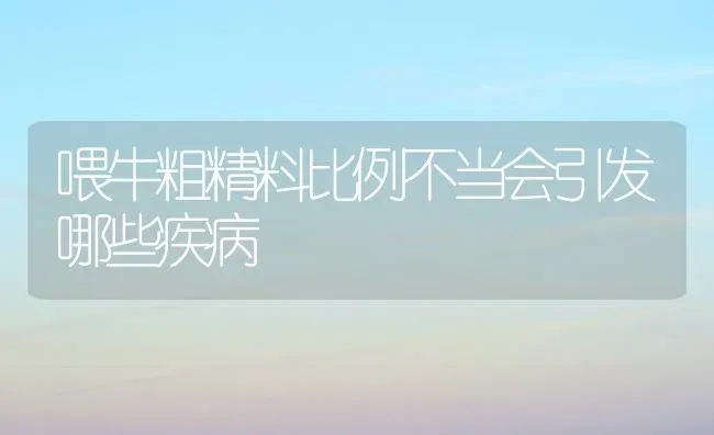 喂牛粗精料比例不当会引发哪些疾病 | 养殖技术大全