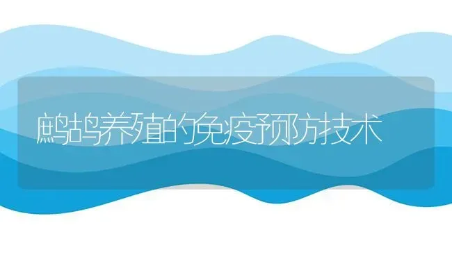 鹧鸪养殖的免疫预防技术 | 养殖知识
