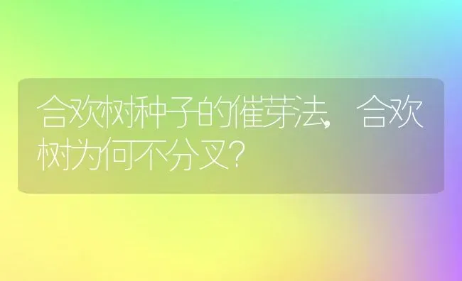 合欢树种子的催芽法,合欢树为何不分叉？ | 养殖科普