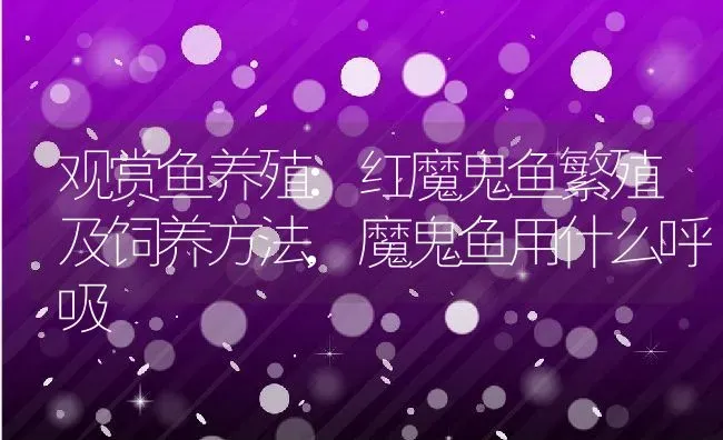 海棠花的修剪时间及方法,重丝海棠盆景修剪造型 | 养殖学堂