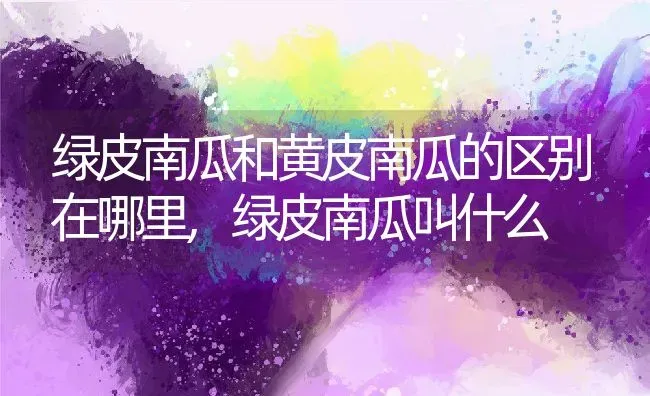 绿皮南瓜和黄皮南瓜的区别在哪里,绿皮南瓜叫什么 | 养殖学堂