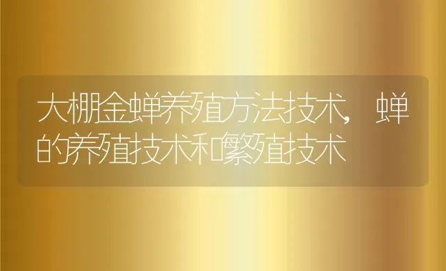 大棚金蝉养殖方法技术,蝉的养殖技术和繁殖技术 | 养殖学堂