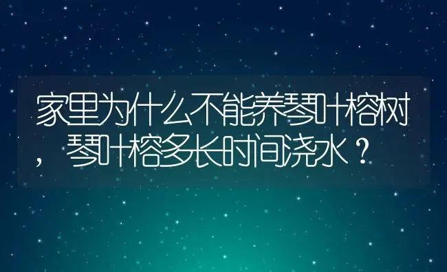 家里为什么不能养琴叶榕树,琴叶榕多长时间浇水？ | 养殖科普