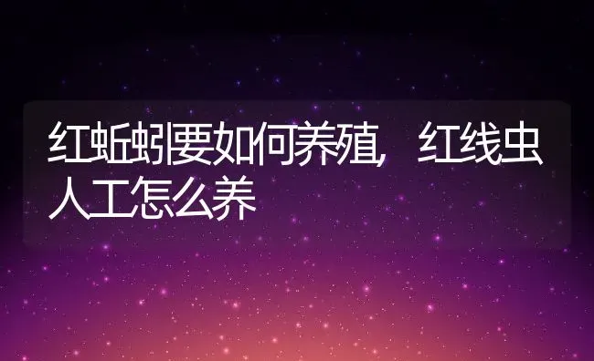 红蚯蚓要如何养殖,红线虫人工怎么养 | 养殖学堂