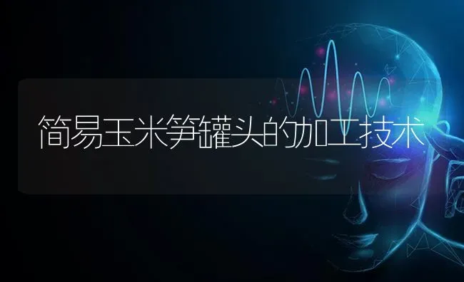 晚稻警惕稻飞虱 防治做好两结合 | 养殖技术大全