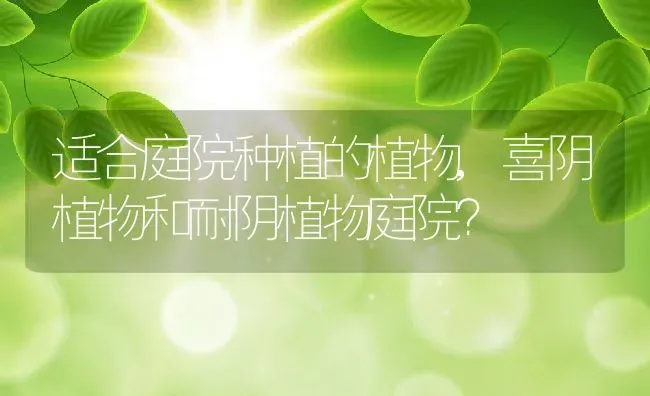 适合庭院种植的植物,喜阴植物和耐阴植物庭院？ | 养殖科普