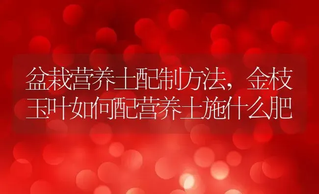 盆栽营养土配制方法,金枝玉叶如何配营养土施什么肥 | 养殖学堂
