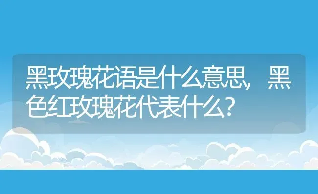 黑玫瑰花语是什么意思,黑色红玫瑰花代表什么？ | 养殖科普
