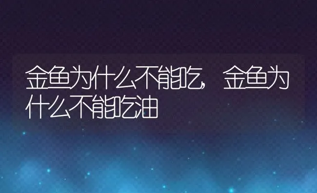 金鱼为什么不能吃,金鱼为什么不能吃油 | 养殖资料