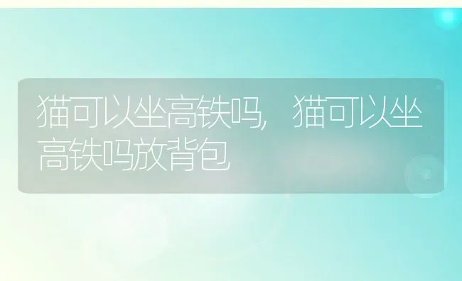 猫可以坐高铁吗,猫可以坐高铁吗放背包 | 养殖资料