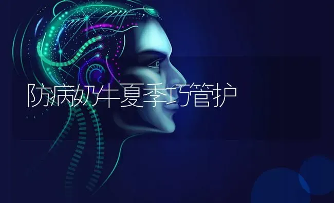 防病奶牛夏季巧管护 | 养殖知识