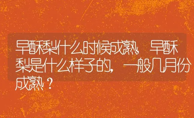 早酥梨什么时候成熟,早酥梨是什么样子的，一般几月份成熟？ | 养殖科普