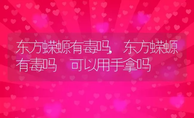 东方蝾螈有毒吗,东方蝾螈有毒吗 可以用手拿吗 | 养殖资料