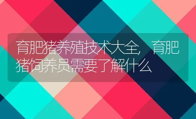 育肥猪养殖技术大全,育肥猪饲养员需要了解什么 | 养殖学堂