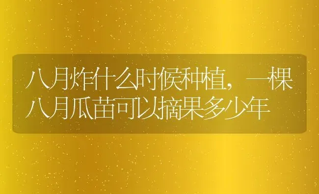八月炸什么时候种植,一棵八月瓜苗可以摘果多少年 | 养殖学堂