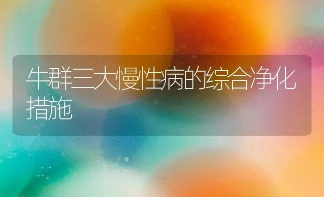 牛群三大慢性病的综合净化措施 | 养殖知识