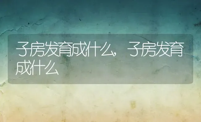 子房发育成什么,子房发育成什么 | 养殖科普