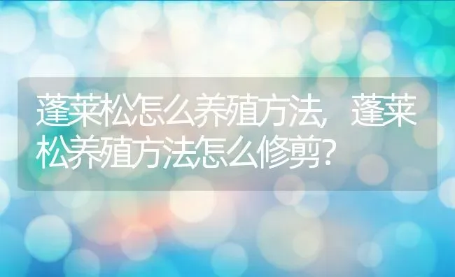 蓬莱松怎么养殖方法,蓬莱松养殖方法怎么修剪？ | 养殖科普