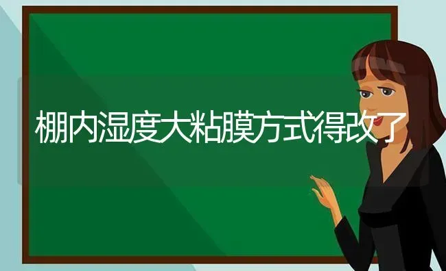 棚内湿度大粘膜方式得改了 | 养殖知识