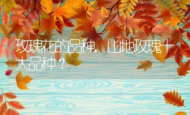 玫瑰花的品种,山地玫瑰十大品种？ | 养殖科普