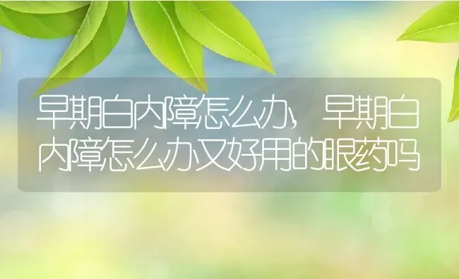 早期白内障怎么办,早期白内障怎么办又好用的眼药吗 | 养殖资料