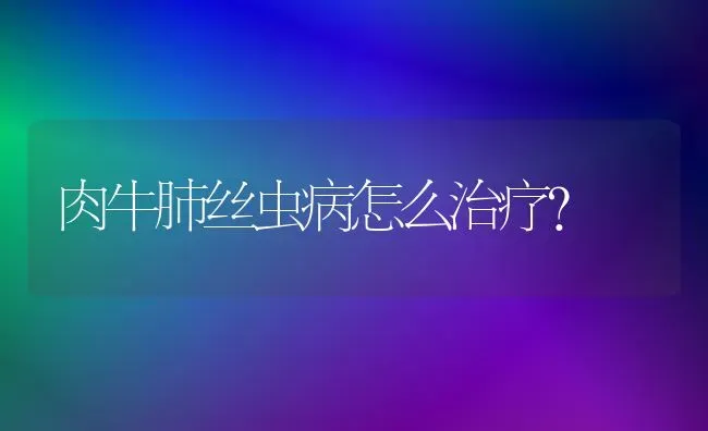 肉牛肺丝虫病怎么治疗? | 养殖技术大全