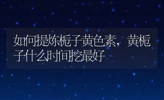 红美人柑橘怎么种,象山红美人3年树施肥时间 | 养殖学堂