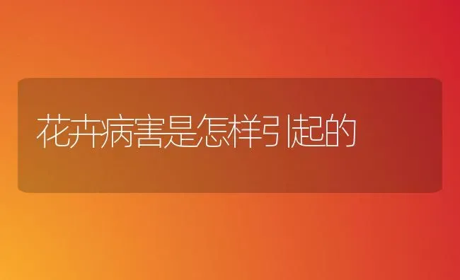 花卉病害是怎样引起的 | 养殖技术大全