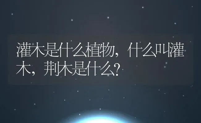 灌木是什么植物,什么叫灌木，荆木是什么？ | 养殖科普