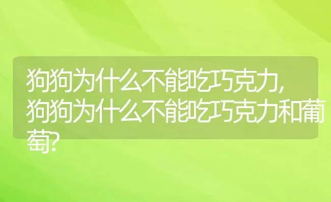 狗狗为什么不能吃巧克力,狗狗为什么不能吃巧克力和葡萄? | 养殖资料